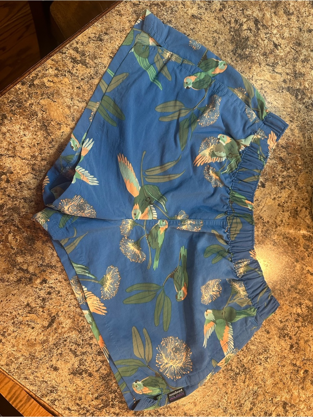 Patagonia Blue Tropical Parrot Women’s Small Shorts